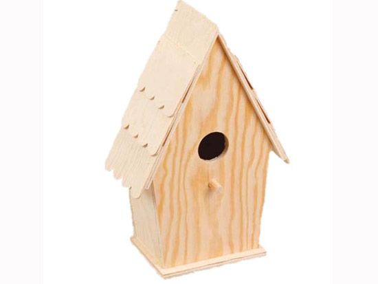 Birdhouse_0314.jpg