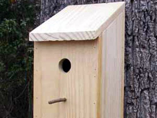 birdhouse.jpg