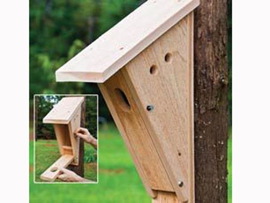 birdhouse plans on Pinterest.jpg